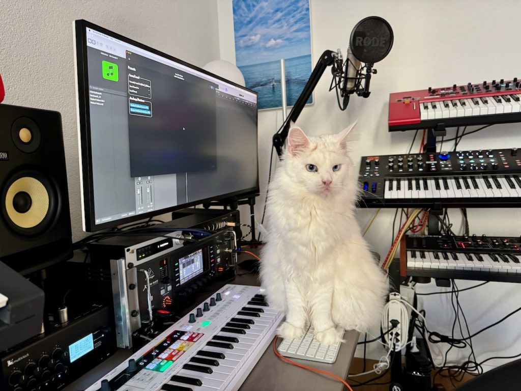 Katze auf Tastatur sitzend. Zu sehen sind diverse Keyboard, Rack-Geräte, Musikboxen und ein Bildschirm.